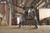Empty tack in stable mulerider horse_tiny